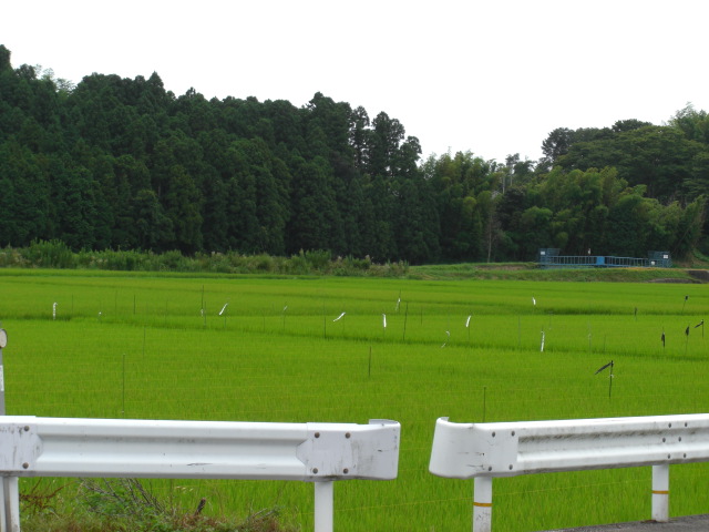 福島の風景_c0169360_22115724.jpg