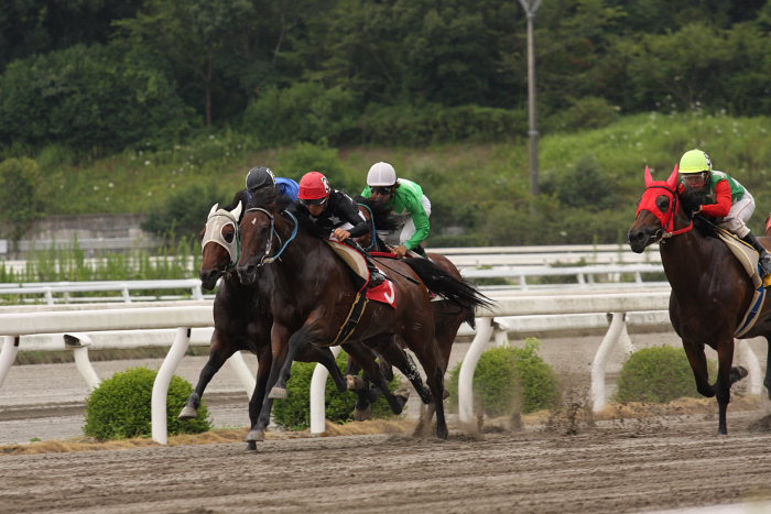 2008年8月16日（土） 高知競馬 7R_a0077663_1947211.jpg