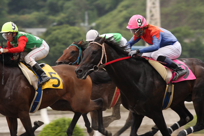 2008年8月16日（土） 高知競馬 7R_a0077663_19472883.jpg