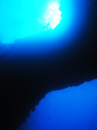 b0062363_2038442.jpg