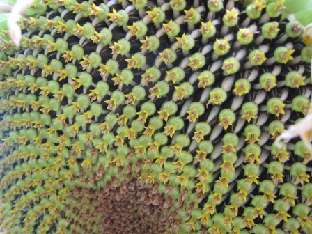 e0015964_22315257.jpg