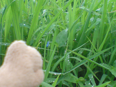 c0158573_14585496.jpg