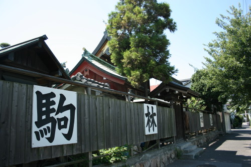 駒ケ林神社(駒林神社)_b0118987_641455.jpg