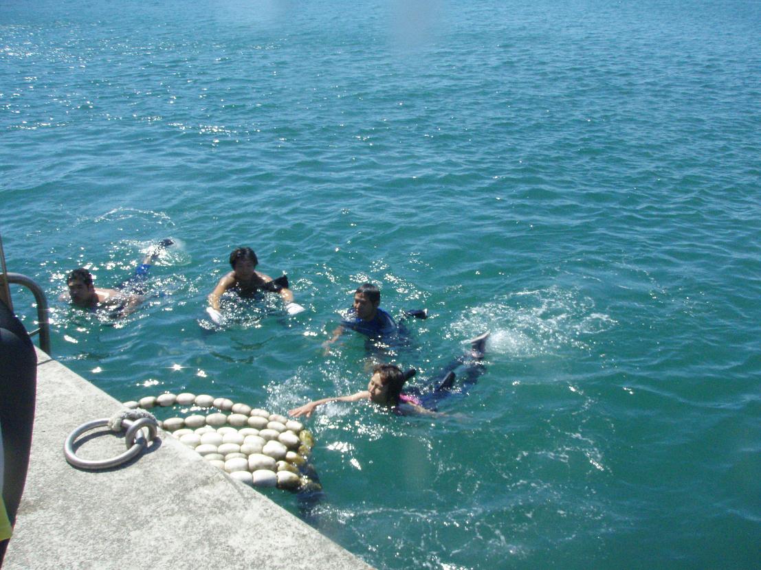 8/10 みなべDIVING！白浜船上花火ツアー！！_e0115199_1661246.jpg