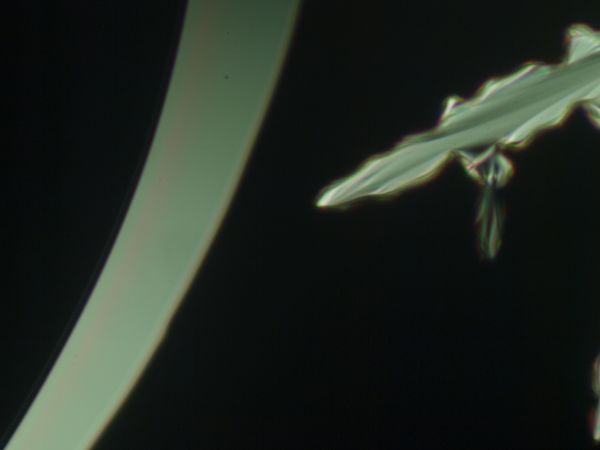 c0164709_18282053.jpg