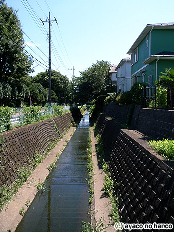 f0079110_1951198.jpg