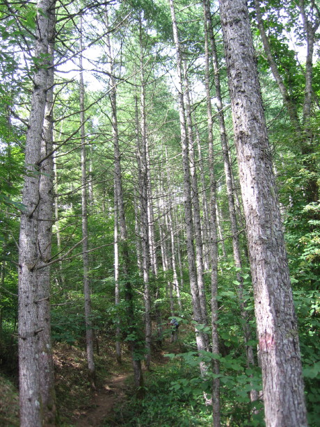 d0103314_8464891.jpg