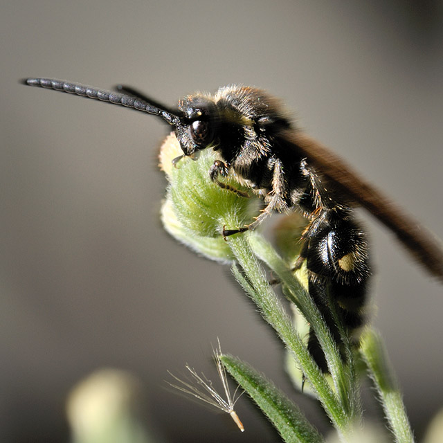 b0148016_1643428.jpg
