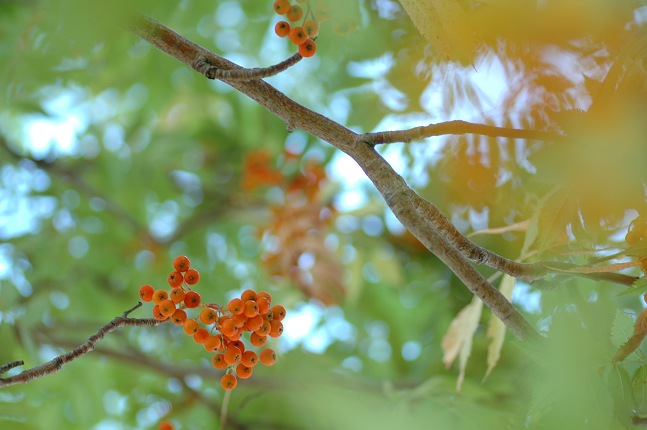 b0152416_232449.jpg