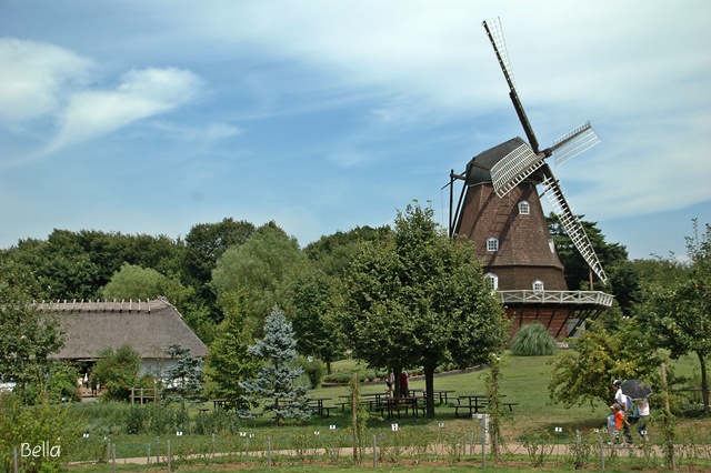 f0012718_20313019.jpg