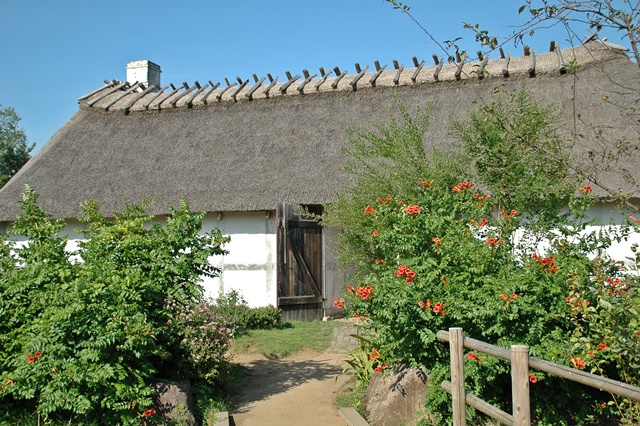 f0012718_20532443.jpg