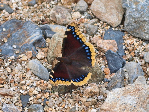 d0090322_22588.jpg