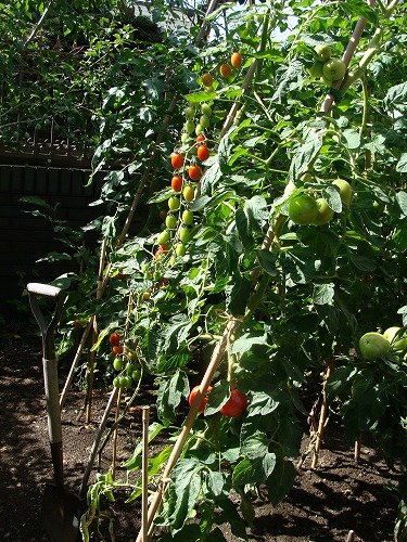 f0170524_15242441.jpg