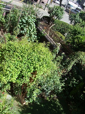 f0170524_15245256.jpg