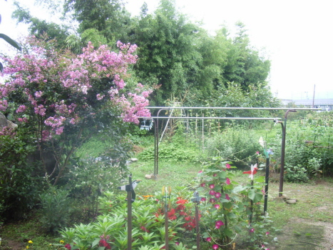 f0108825_16182152.jpg