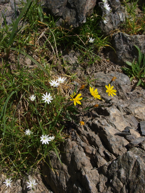 c0006928_18171128.jpg
