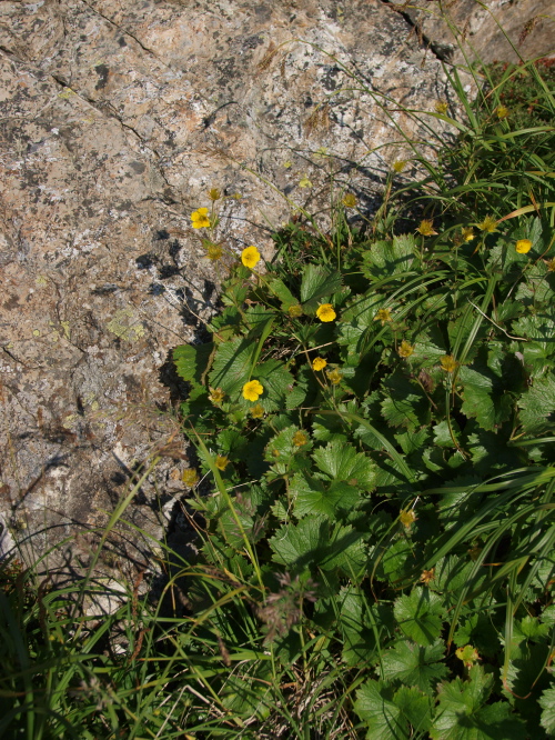 c0006928_18293195.jpg