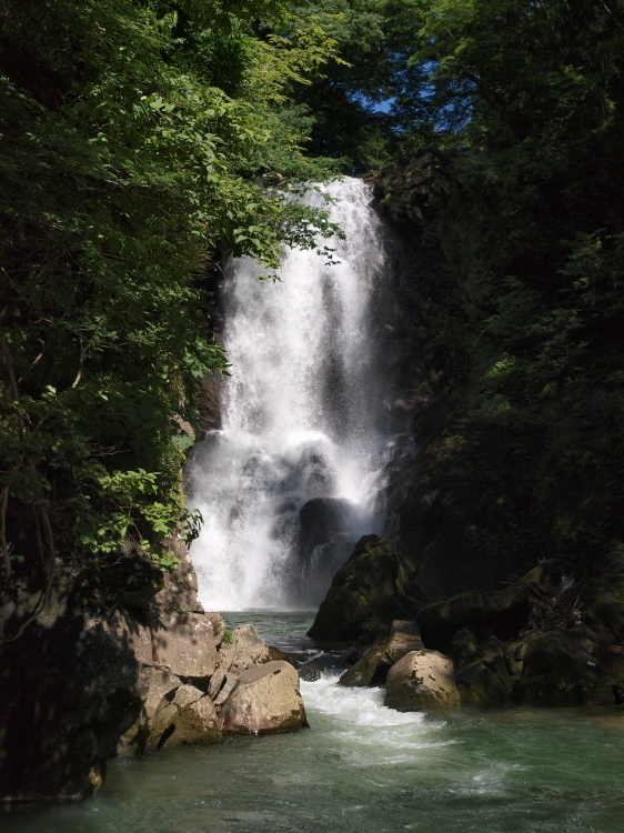 今日は何もしていないのに…_d0066031_2355136.jpg