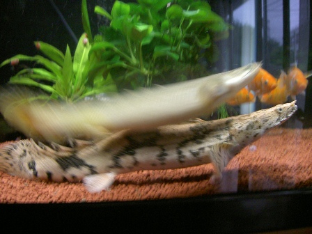 f0168539_80143.jpg