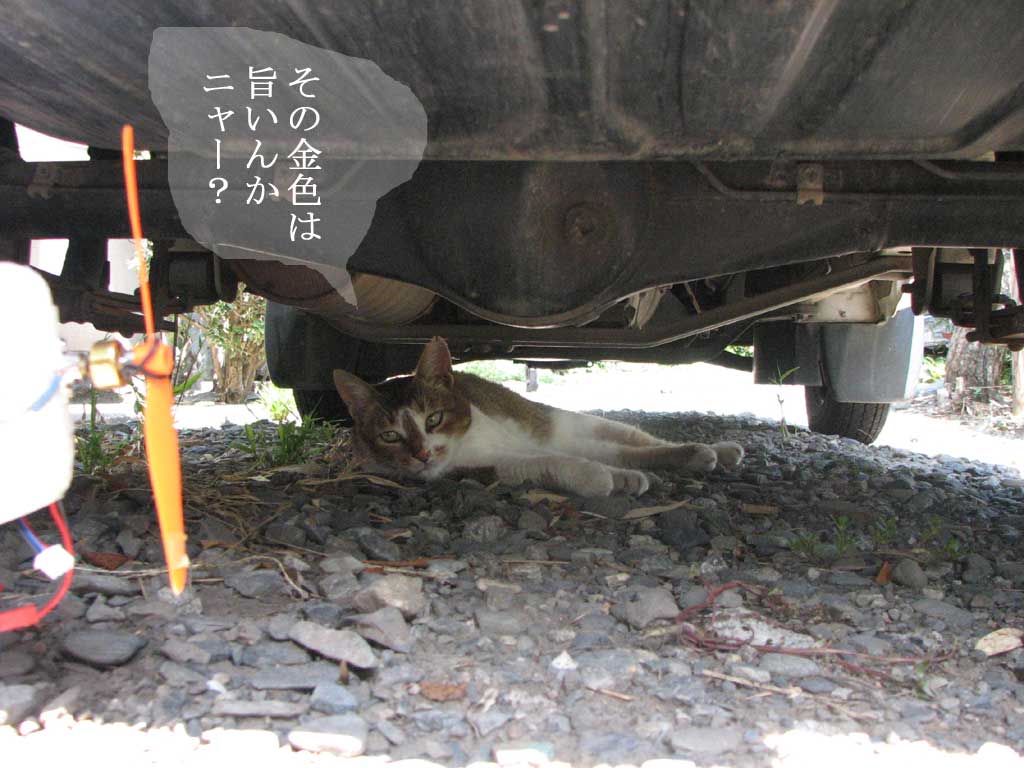 出かけるときはワスレズニっ_d0067943_1231840.jpg