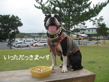 お盆キャンプ　～チロリン村キャンプグランドにて～_e0126046_12231220.jpg