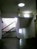 調和と統合_a0036051_11503611.jpg