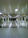 CSR_a0036051_12332896.jpg