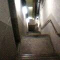 国際会計基準_a0036051_12581112.jpg