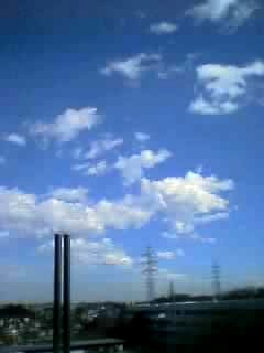 会計参与_a0036051_1263450.jpg