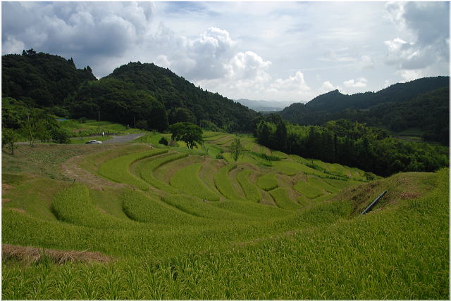 大山千枚田_c0122452_2110209.jpg