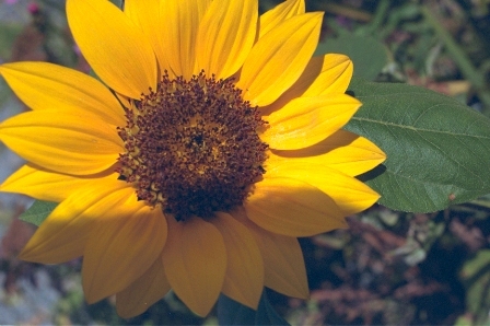 c0111557_2354713.jpg