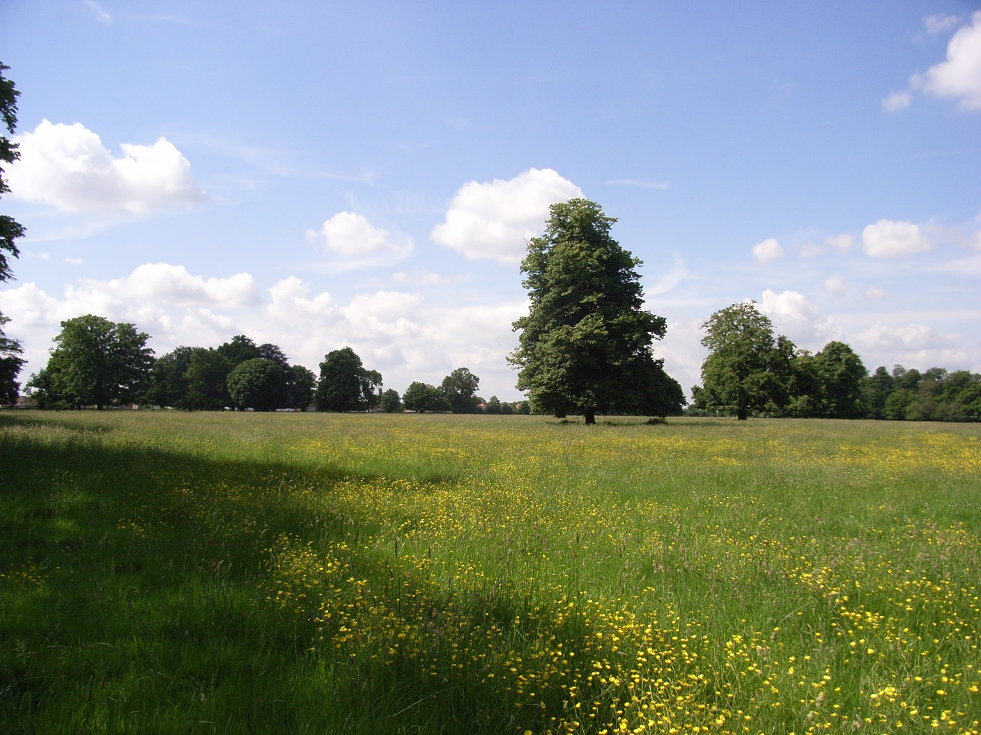 Osterley Park and House　オスタリー・パーク＆ハウス_e0100657_12122871.jpg