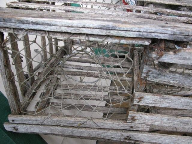 Fish trap_c0157558_784597.jpg