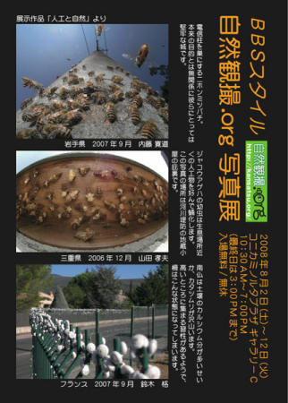 猫撮り会_c0081462_14676.jpg