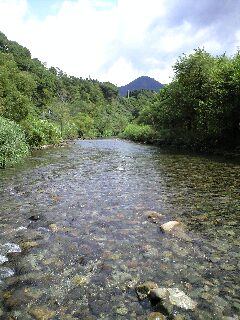 f0037063_17202528.jpg