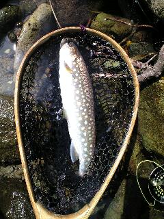 f0037063_17235268.jpg