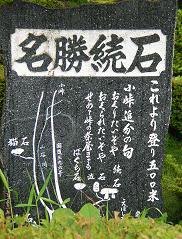 f0139963_211168.jpg