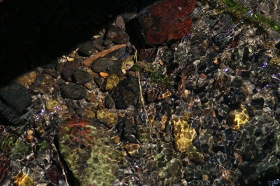 d0141365_21141910.jpg