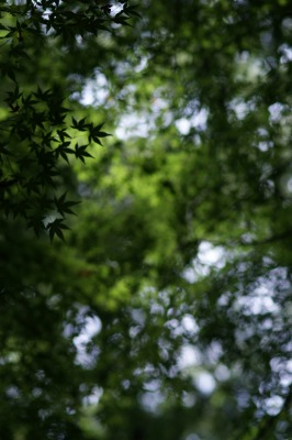 d0141365_2115471.jpg