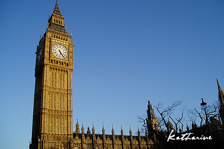 f0150665_1354026.jpg