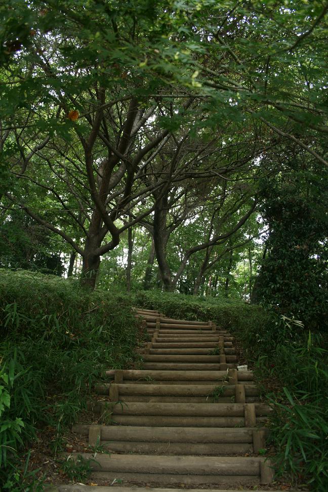 「警官の血」ロケ地 ~仙元山公園~ 深谷のまちづくり その9 _a0107574_7161956.jpg
