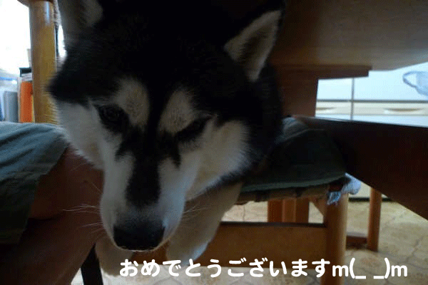 d0087675_2331160.gif