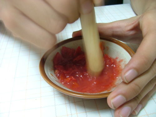 理科実験 Dnaを取り出してみよう 今年の1 366