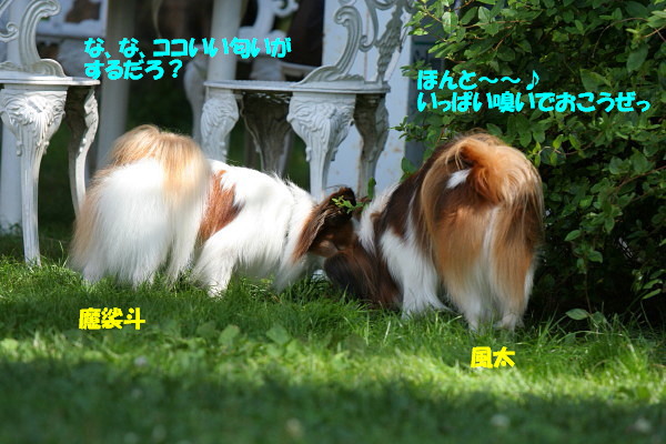 c0044199_2202870.jpg