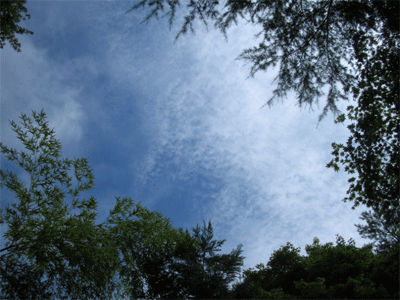 b0108100_22152656.gif