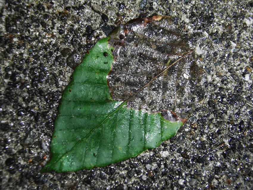 b0143100_20565541.jpg