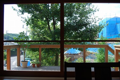 木陰の動き 観察記_c0124100_1452261.jpg