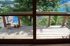 木陰の動き 観察記_c0124100_1457167.jpg
