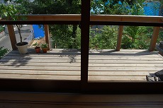 木陰の動き 観察記_c0124100_14571836.jpg