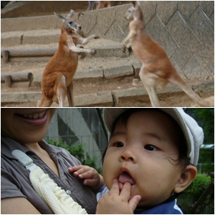 多摩動物公園へ_c0051105_71074.jpg